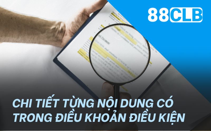 Chi tiết từng nội dung có trong điều khoản điều kiện