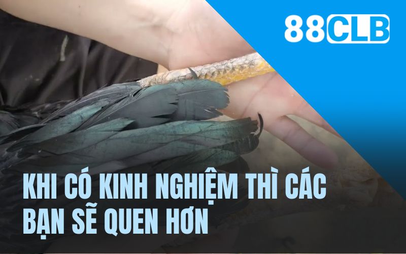 Khi có kinh nghiệm thì các bạn sẽ quen hơn