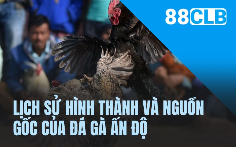 Lịch sử hình thành và nguồn gốc của đá gà Ấn Độ