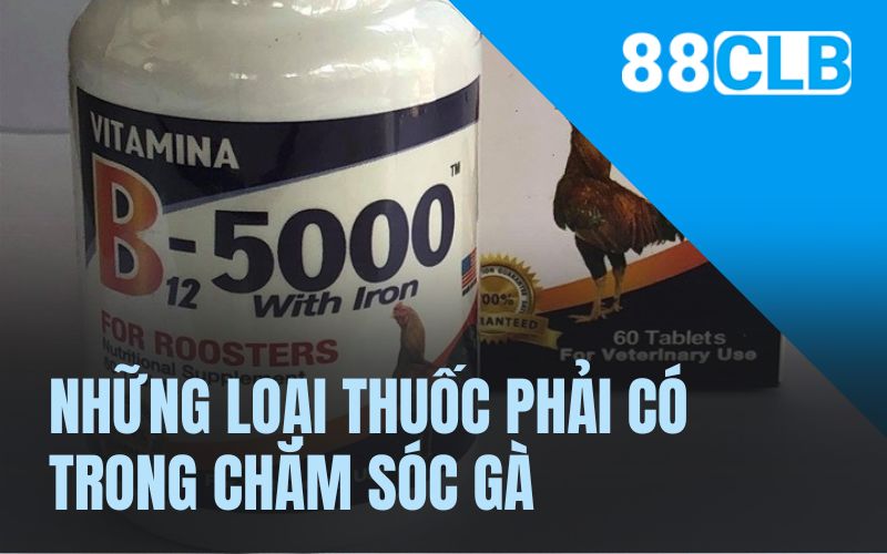 Những loại thuốc nhất định phải có trong chăm sóc gà