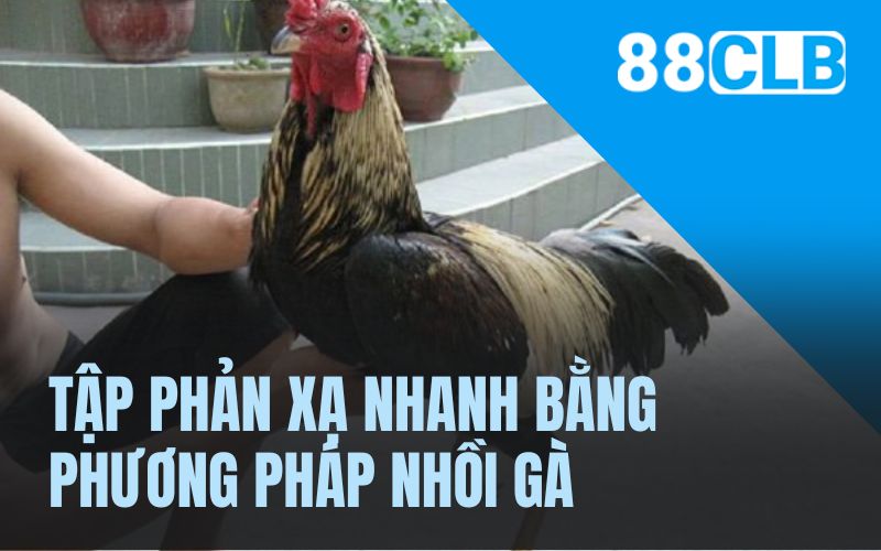 Tập phản xạ nhanh bằng phương pháp nhồi gà