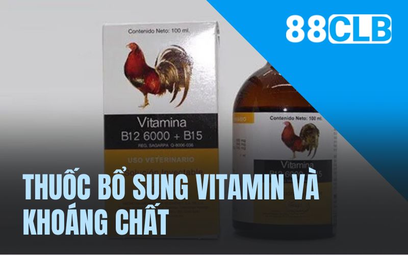 Thuốc bổ sung vitamin và khoáng chất